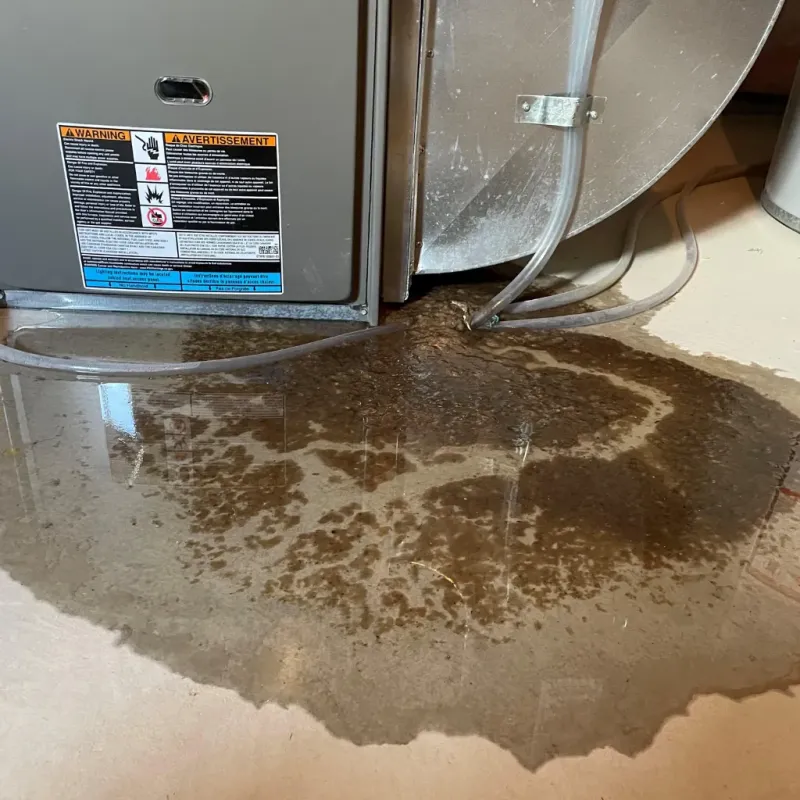 Appliance Leak Cleanup in Southern Pines, NC